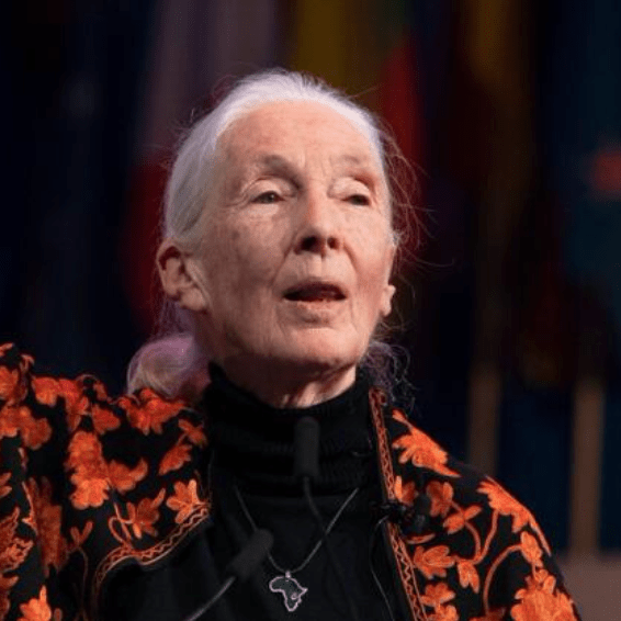 Velles en contra del&nbsp;govern